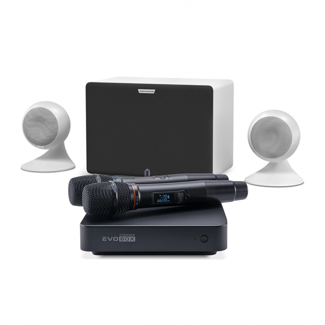 караоке-комплект EVOBOX Classic + EvoSound Sphere 2.1 в Ульяновске