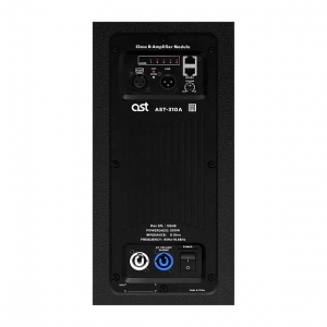 Активная акустическая система AST-310A в Ульяновске