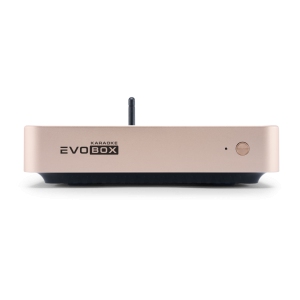 EVOBOX Classic караоке-система для дома в Ульяновске
