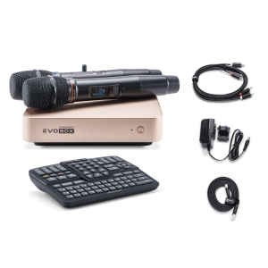 EVOBOX Classic караоке-система для дома в Ульяновске