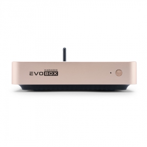 EVOBOX Plus караоке-система для дома в Ульяновске